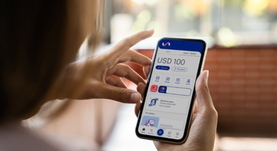 Las billeteras virtuales frenaron la venta del dólar oficial